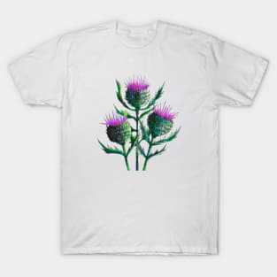 Thistles Watercolour Painting T-Shirt